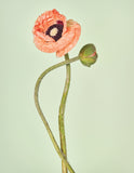 Spray de cameră • Flowershop