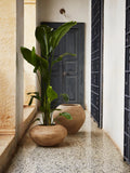 Dodu Pot - Tall - Brown