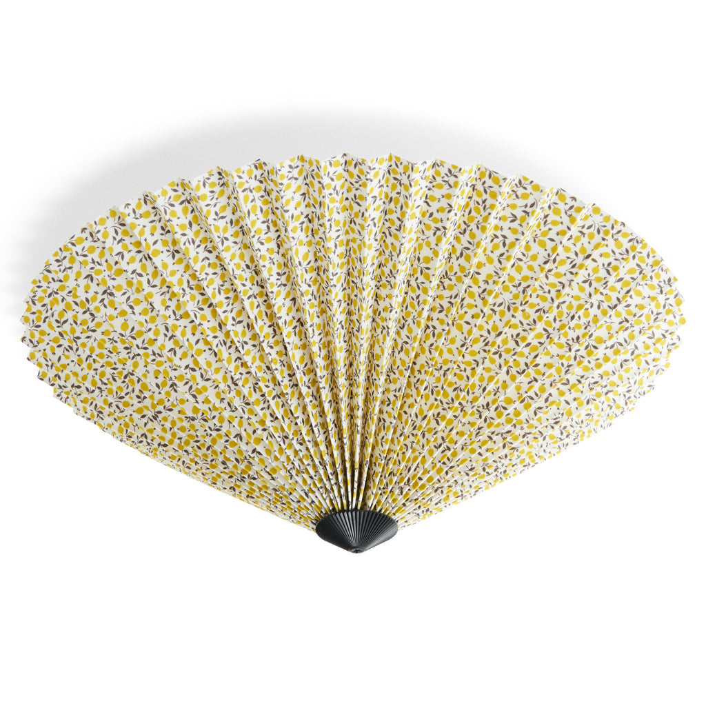 Matin Wall / Ceiling Lamp - Liberty Ed