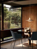 Rely Dining Chair HW33