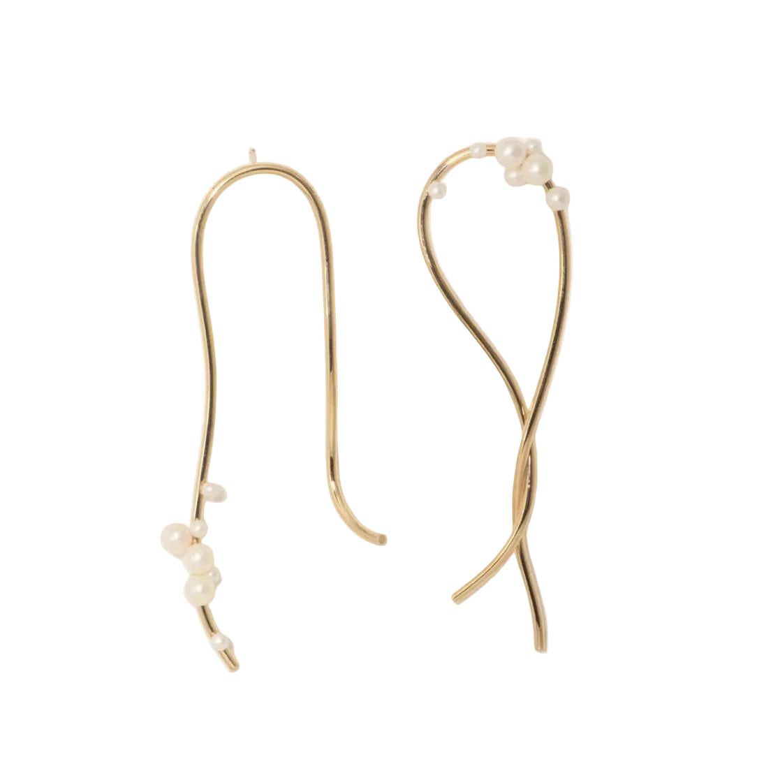 Wild Relatives Earrings