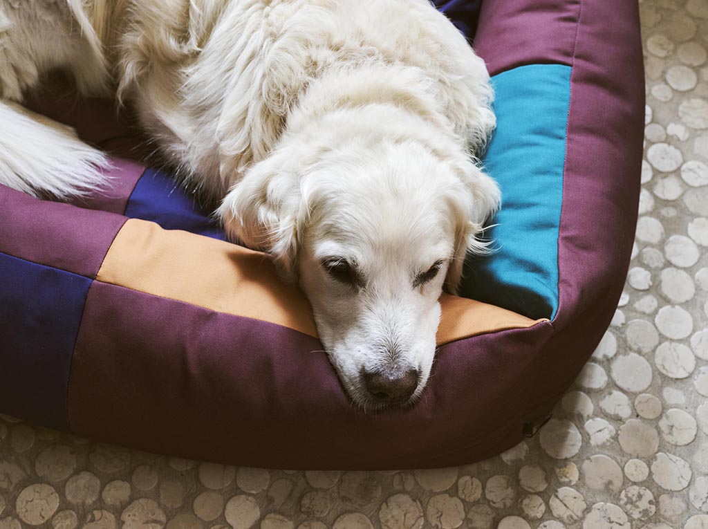 HAY Dogs Bed - Large - Burgundy, Green