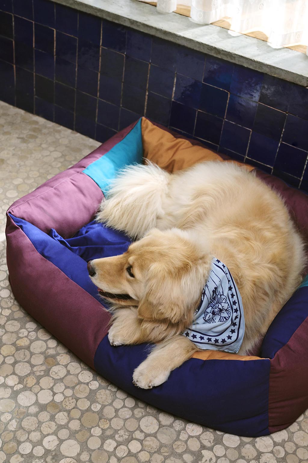 HAY Dogs Scarf - Light Blue