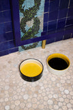 Bol pentru caini HAY Mare - Yellow/Blue