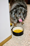 Bol pentru caini HAY Mare - Yellow/Blue