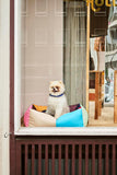 HAY Dogs Bed - Small - Multi