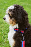 Lesa HAY Dogs Flat - Red/ blue