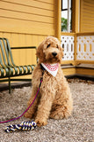 HAY Dogs Rope Toy - Blue/ Purple/ Ochre