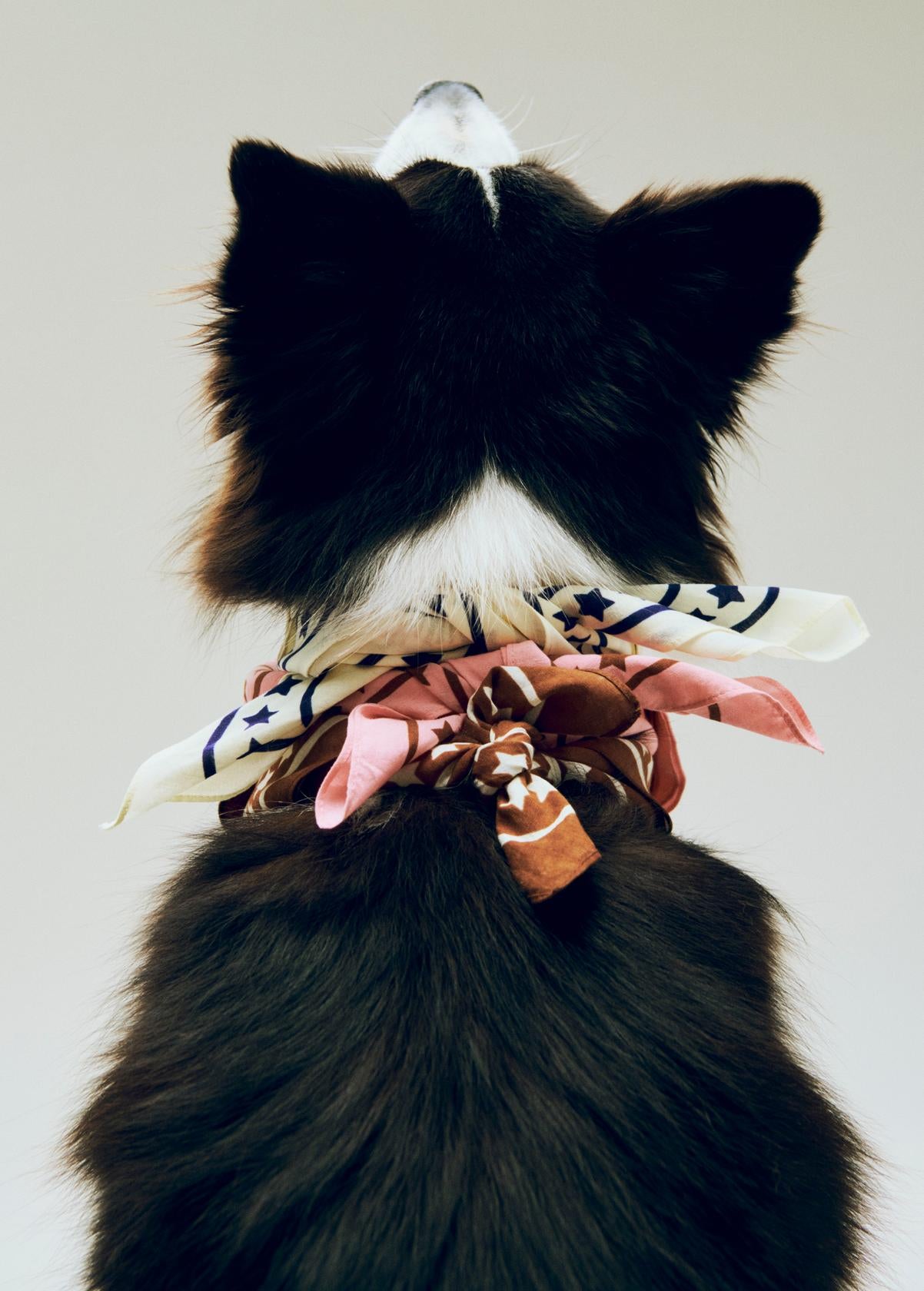 HAY Dogs Scarf (Recycled) - Pink