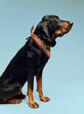 HAY Dogs Scarf (Recycled) - Brown