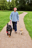 Lesa HAY Dogs Flat - Red/ blue