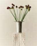 Fountain Vase 01