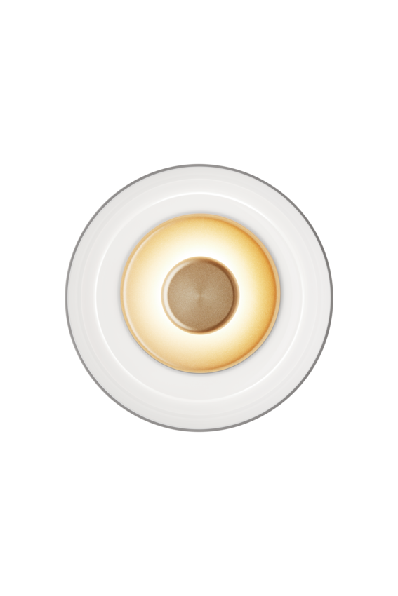 Blossi Wall / Ceiling Lamp - Nordic Gold / Opal White
