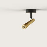 Ycro Ceiling/ Wall Lamp
