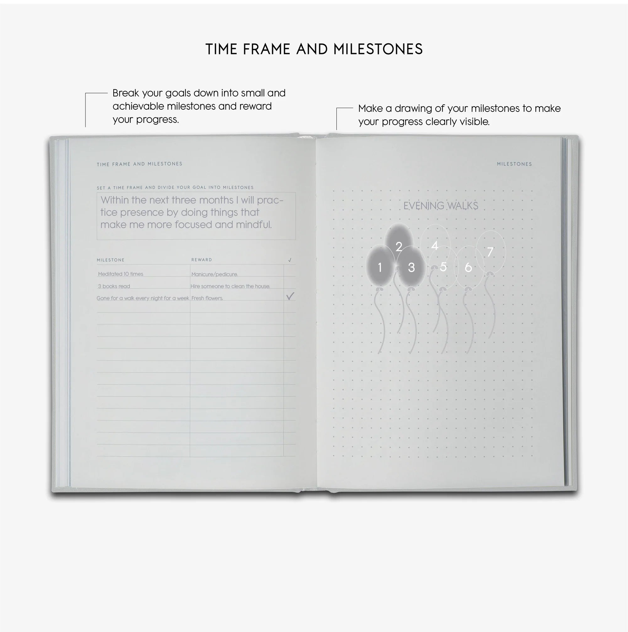 Goals Journal