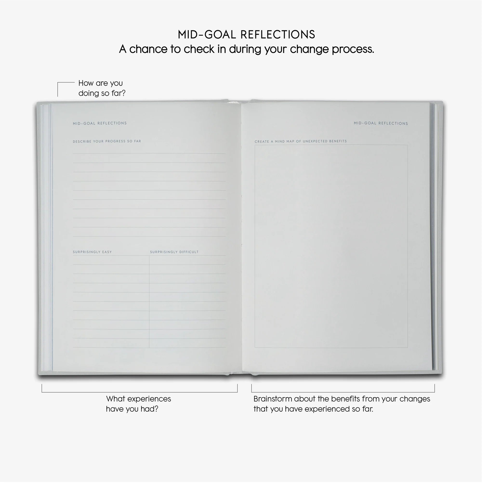 Goals Journal