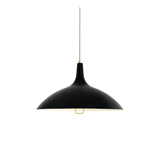 1965 Pendant