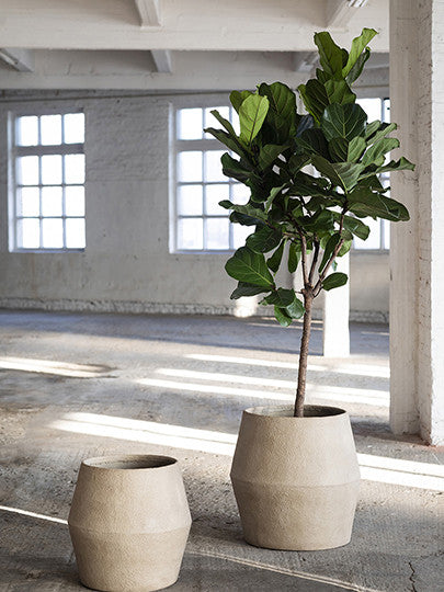 Planter Earth S Brown