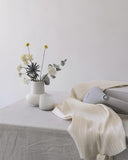 Cirrus No.2 Hand-Steamer - Grey