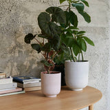 Collect Planter SC69 - Sienna