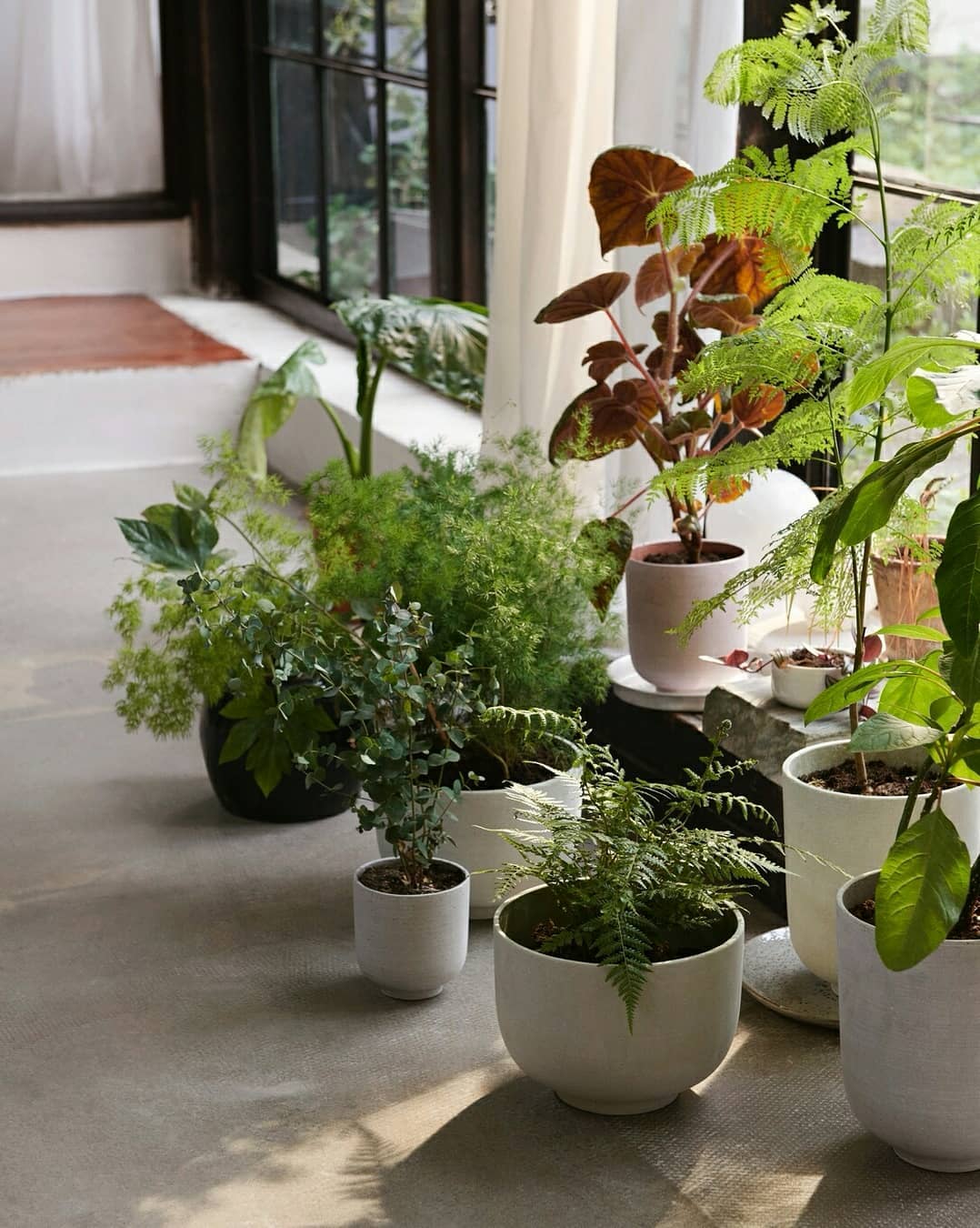 Collect Planter SC72 - Sage