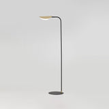 Ficus Floor Lamp
