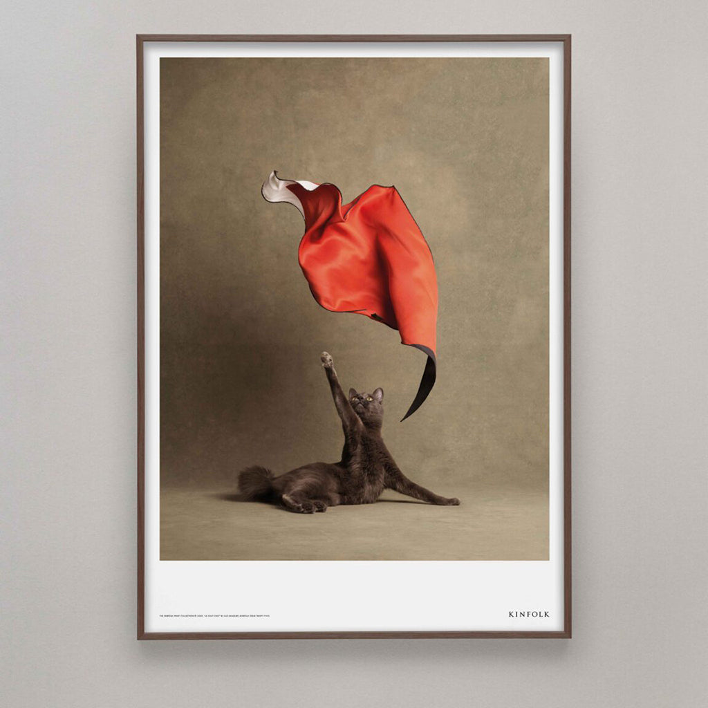 Luc Braquet - Le Chat Chic