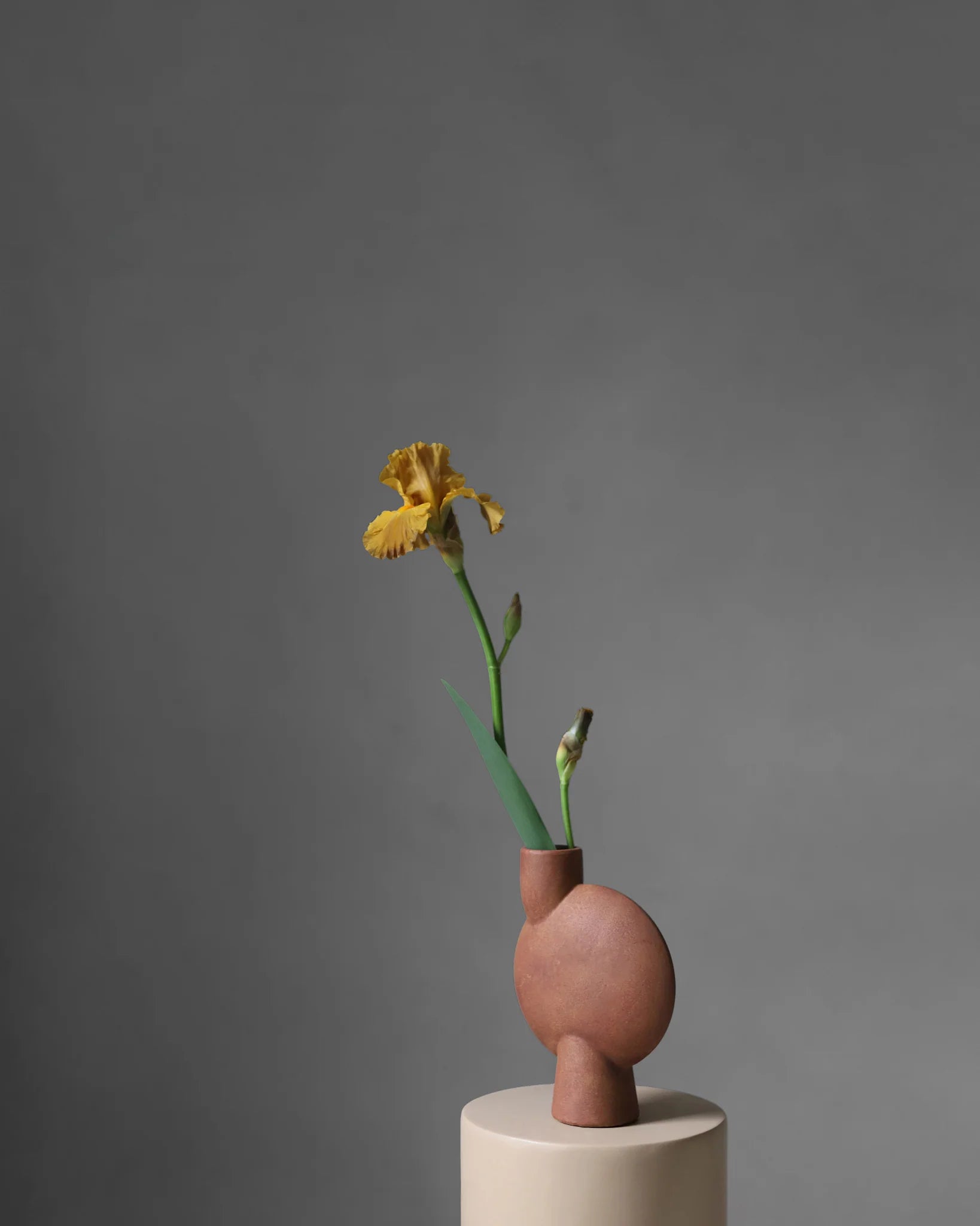 Sphere Vase Bubl, Medio - Terracotta