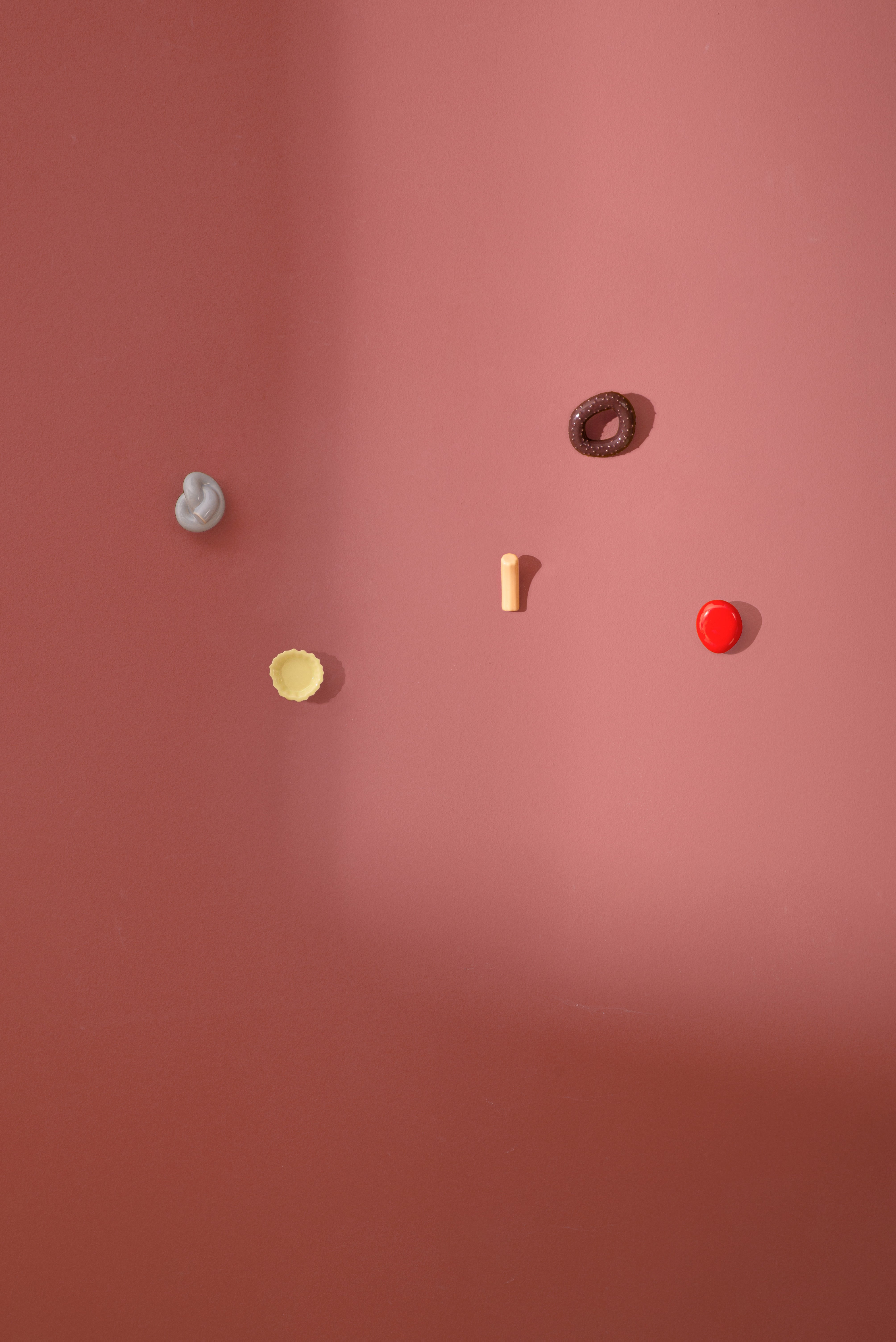 Fossil Wall Hook - The Coral