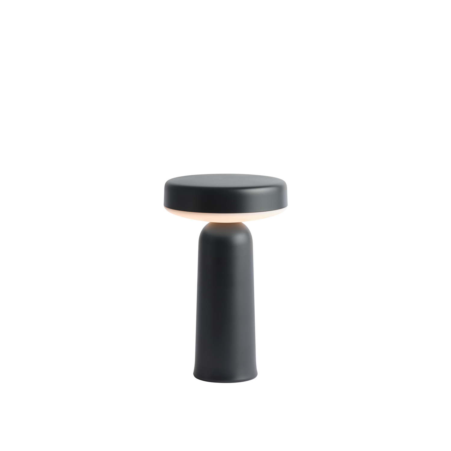 Ease Portable Lamp