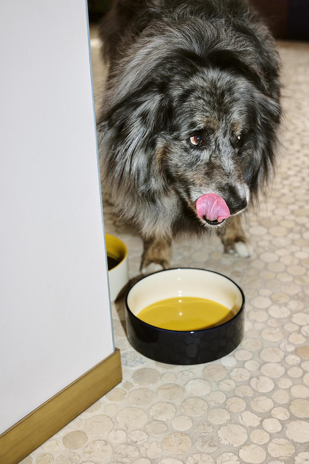 HAY Dogs Bowl Large - Yellow/Blue