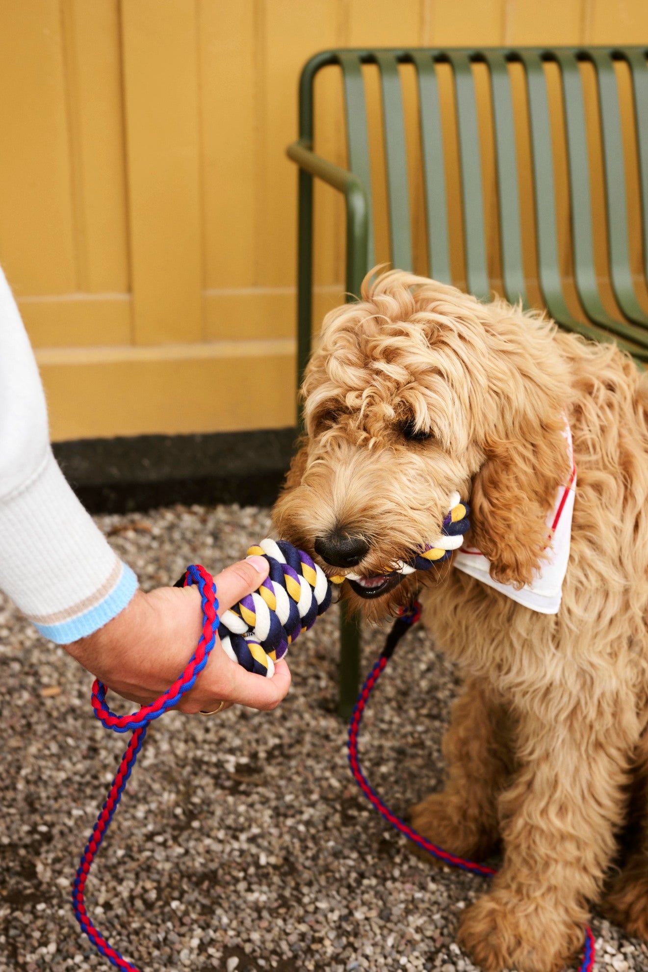 HAY Dogs Leash Braided Adjustable - Red/ blue