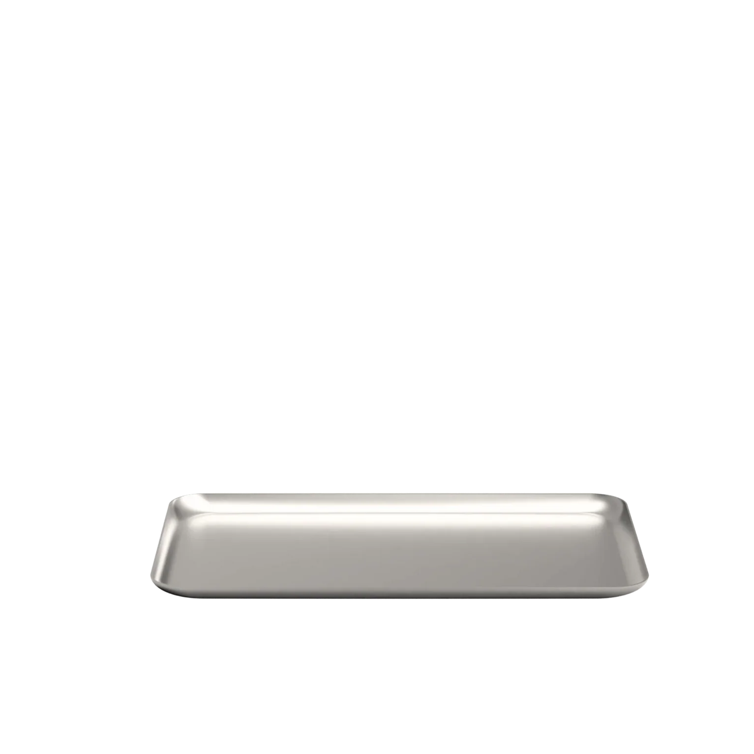 Stainless steel tray - Medium