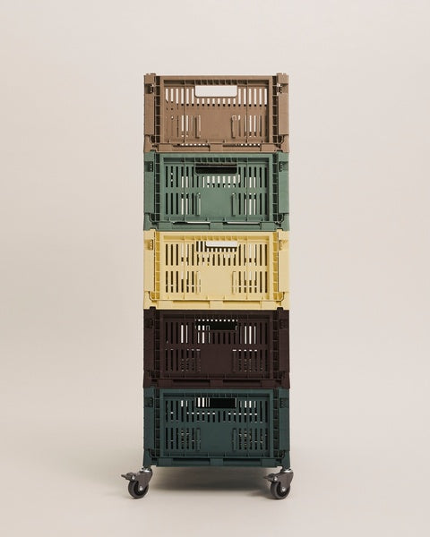 Colour Crate M Bordeaux