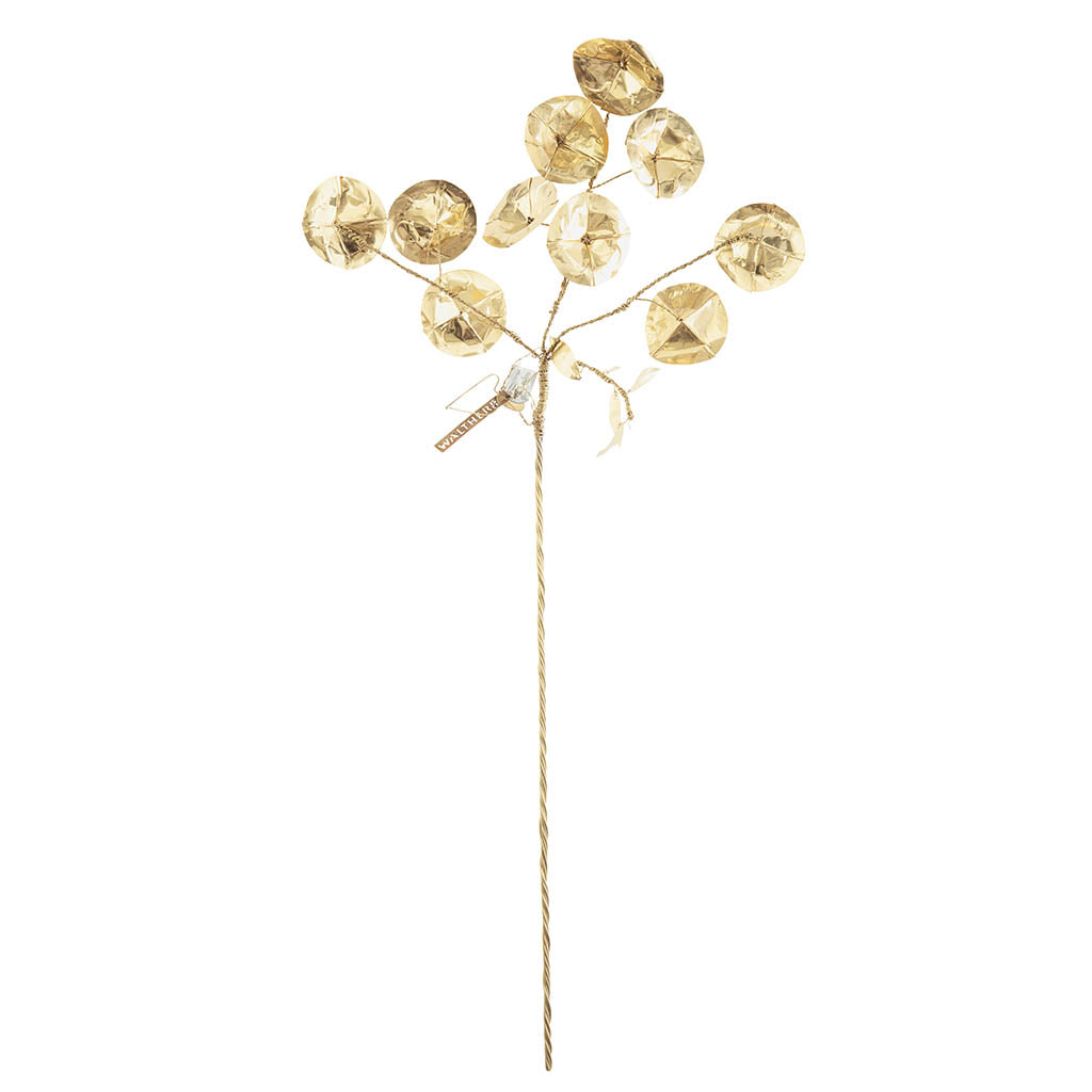 Trumpet Flower