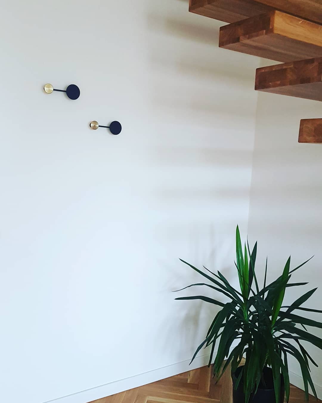Afteroom Coat Hanger, Small - Black / Brass