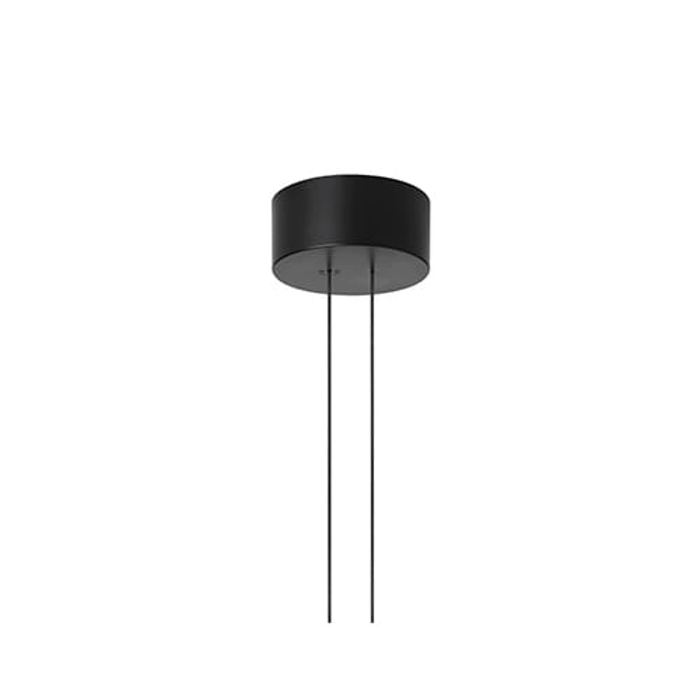 Arrangements Line Pendant