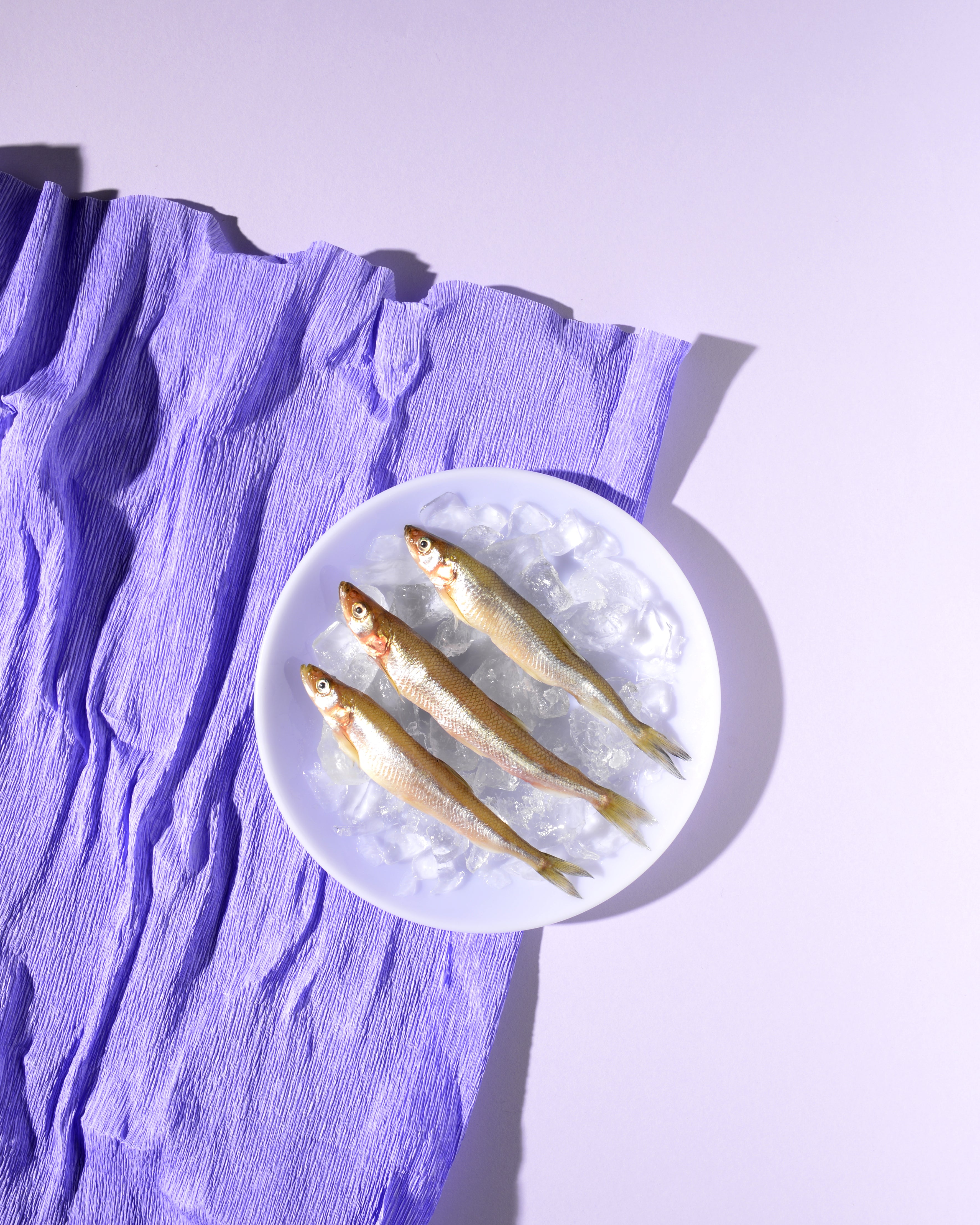 MILK Bowl - Lavender