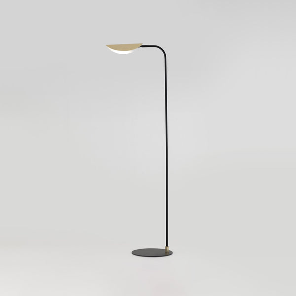 Ficus Floor Lamp