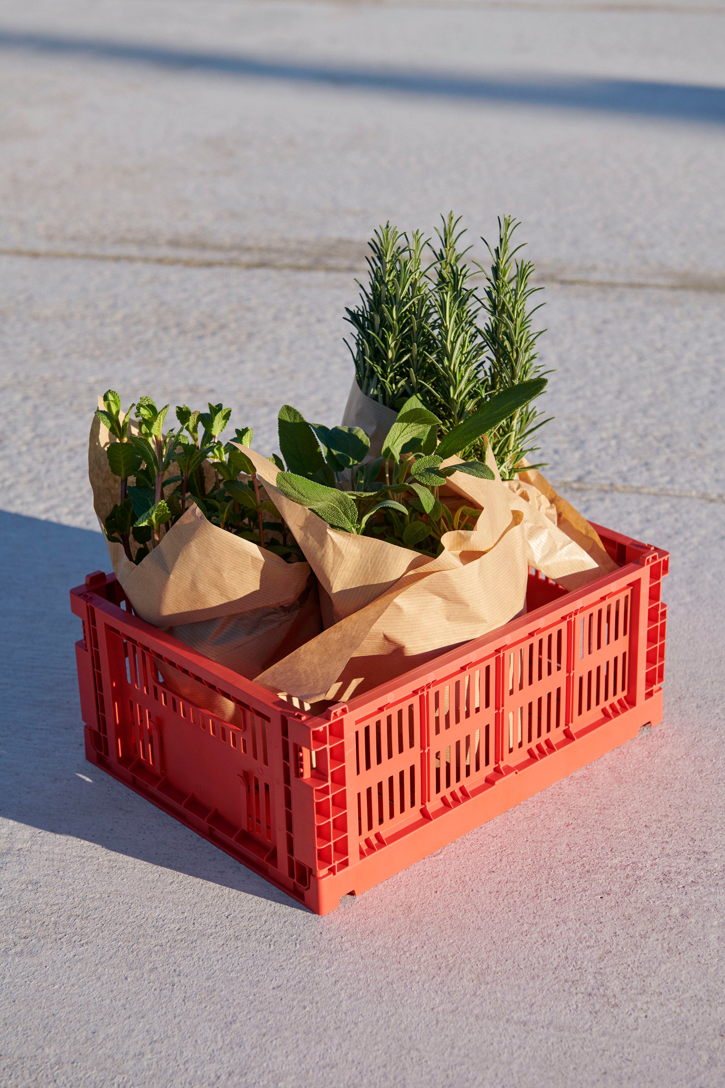 Colour Crate M Red